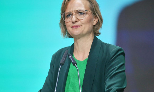 Franziska Brantner (Archiv)