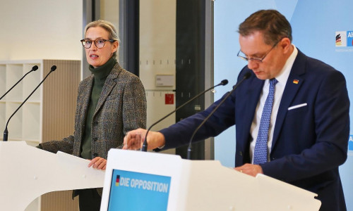 Alice Weidel und Tino Chrupalla (Archiv)