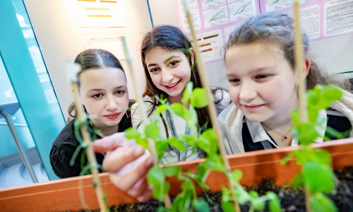 Die zahlreichen Projekte der Jungforscher haben sowohl die Jury als auch die Besucher zum Staunen gebracht. 