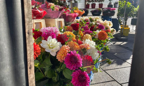 Blumen in einem Blumenladen (Archiv)