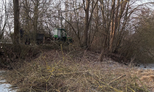 Rund um den See wurden Arbeiten durchgeführt.