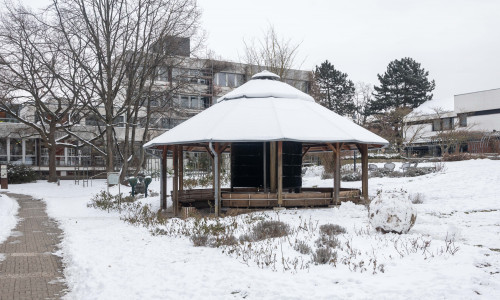 Hier stand der Mammutbaum bis zu seiner Fällung.