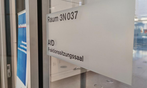 AfD-Bundestagsfraktion (Archiv)