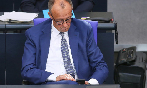 Friedrich Merz (Archiv)