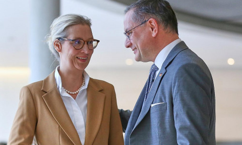 Alice Weidel und Tino Chrupalla (Archiv)