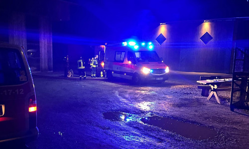 Zahlreiche Kräfte waren bei der Suchaktion im Einsatz.