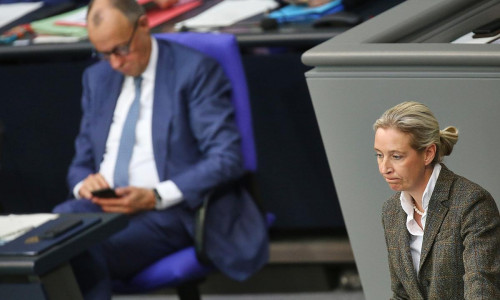 Friedrich Merz und Alice Weidel (Archiv)