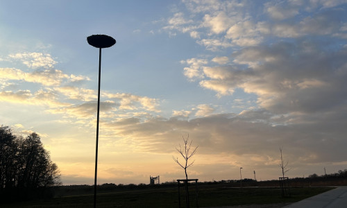 In Osloß steht nun ein weiteres Storchennest.