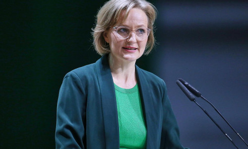 Franziska Brantner (Archiv)