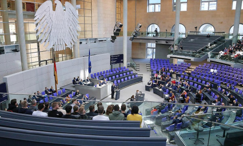 Bundestagssitzung (Archiv)