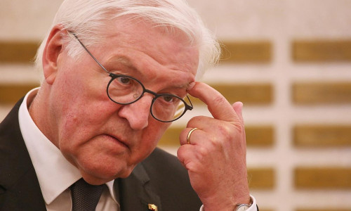 Frank Walter Steinmeier (Archiv)