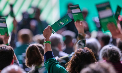 Abstimmung auf Grünen-Parteitag (Archiv)