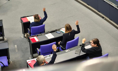 Abstimmung in der Linksfraktion (Archiv)