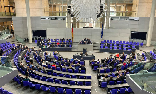 Bundestagssitzung (Archiv)