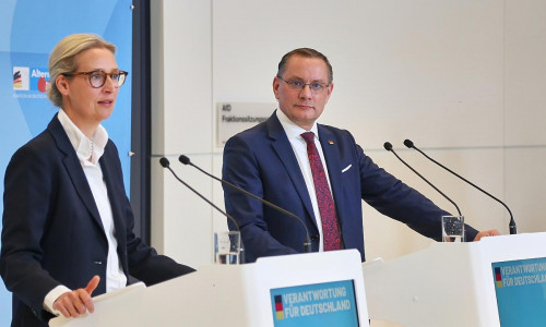 Alice Weidel und Tino Chrupalla (Archiv)