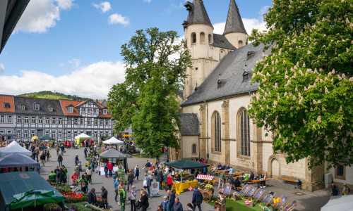 Bereits zum sechsten Mal findet der Goslarer Gartenmarkt statt.