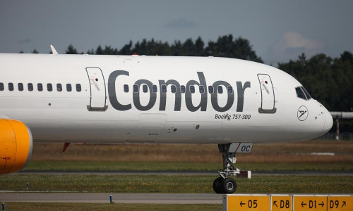 Condor (Archiv)
