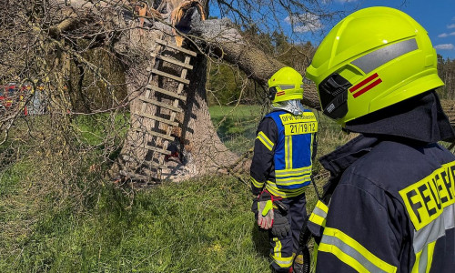 Zwei Einsätze binnen sechs Stunden in Wienhausen  (Archiv)
