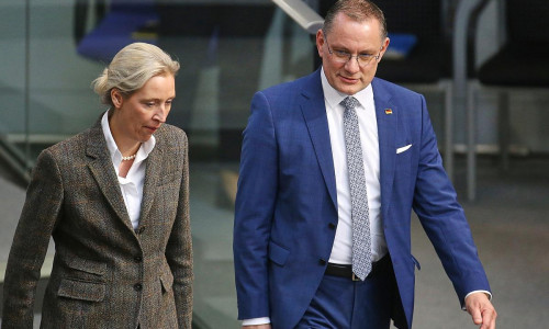 Alice Weidel und Tino Chrupalla (Archiv)