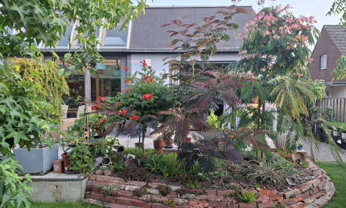 Dieser Garten im Landkreis Peine öffnet seine Pforten für einen Tag.