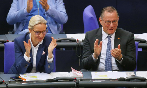 Alice Weidel und Tino Chrupalla (Archiv)