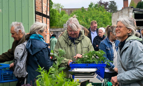 Beate Pieper (r.) berät auch in diesem Jahr rund um die Tomatenpflanzen.