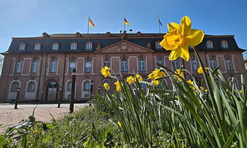 Landtag von Rheinland-Pfalz (Archiv)