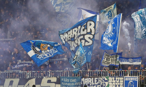 Fans von Schalke 04 (Archiv)