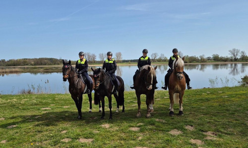 Reiterstaffel im Biosphärenreservat "Niedersächsische Elbtalaue" (Archiv)