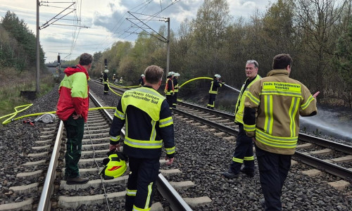Führungskräfte aus Uelzen und Unterlüß mit dem Förster bei der Lagebesprechung (Archiv)