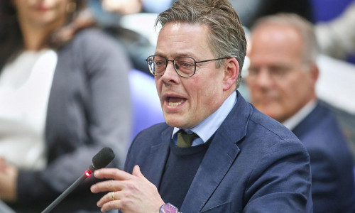 Konstantin von Notz (Archiv)