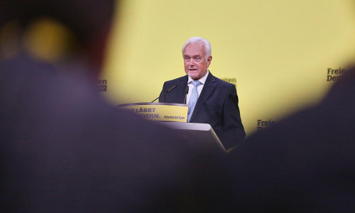 Wolfgang Kubicki (Archiv)