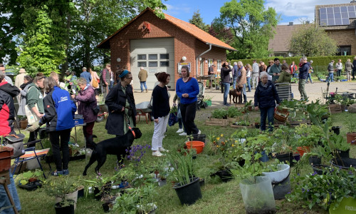 Aussteller präsentieren selbstgezogene Pflanzen, Blumen und Kräuter.