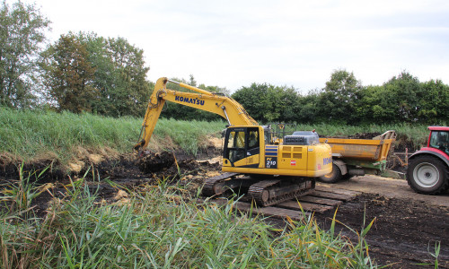 Das benachbarte Beet in Soßmar wurde 2024 geräumt – ein ähnliches Bild wird sich auch jetzt wieder zeigen: Der Bagger gräbt die Klärschlammerde mit Schilf ab und verlädt sie.