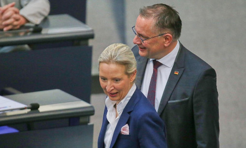 Alice Weidel und Tino Chrupalla am 23.04.2026