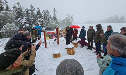 Der Wintereinbruch im Mai im Oberharz gab dem Spaziergang zu einer der neuen Wildnis-Entdeckerstationen am Torfhausmoor eine besondere Kulisse.