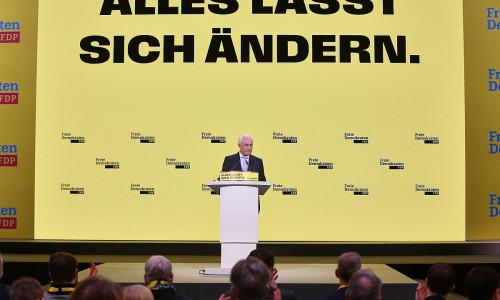Wolfgang Kubicki (Archiv)