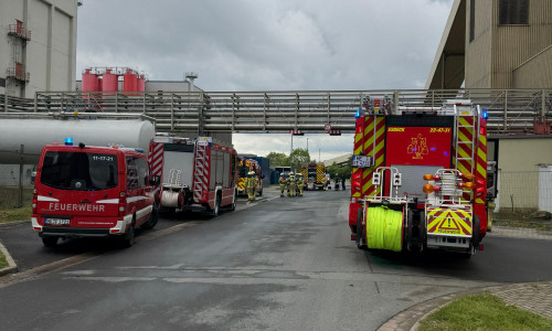 Die Feuerwehr Helmstedt untersuchte die starke Rauchentwicklung an der Müllverbrennungsanlage.