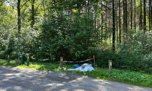 Hier wurden die Kadaver gefunden.