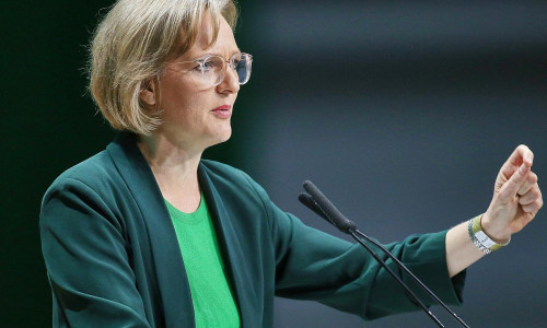 Franziska Brantner (Archiv)
