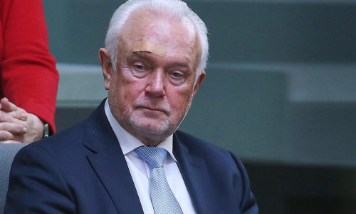 Wolfgang Kubicki (Archiv)