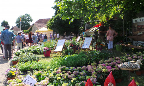 Das Gartenfestival in Schöningen bietet eine große Vielfalt an Ausstellern.