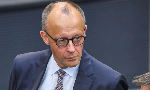 Friedrich Merz (Archiv)