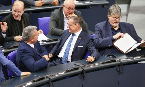 AfD-Fraktion (Archiv)