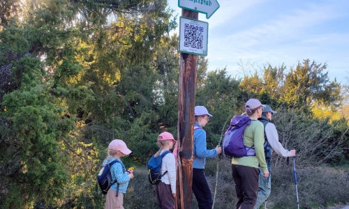 Am Tag des Wanderns geht es durch die Südheide.