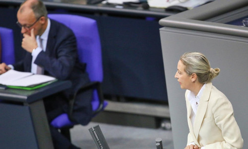 Friedrich Merz und Alice Weidel (Archiv)