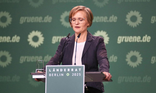 Franziska Brantner (Archiv)