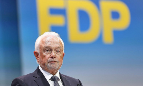 Wolfgang Kubicki (Archiv)