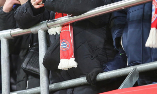 Bayern-Fans (Archiv)