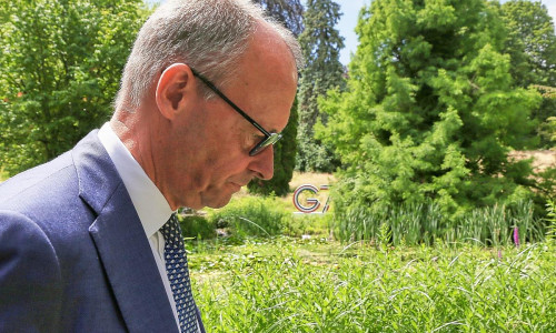 Friedrich Merz am 17.06.2026